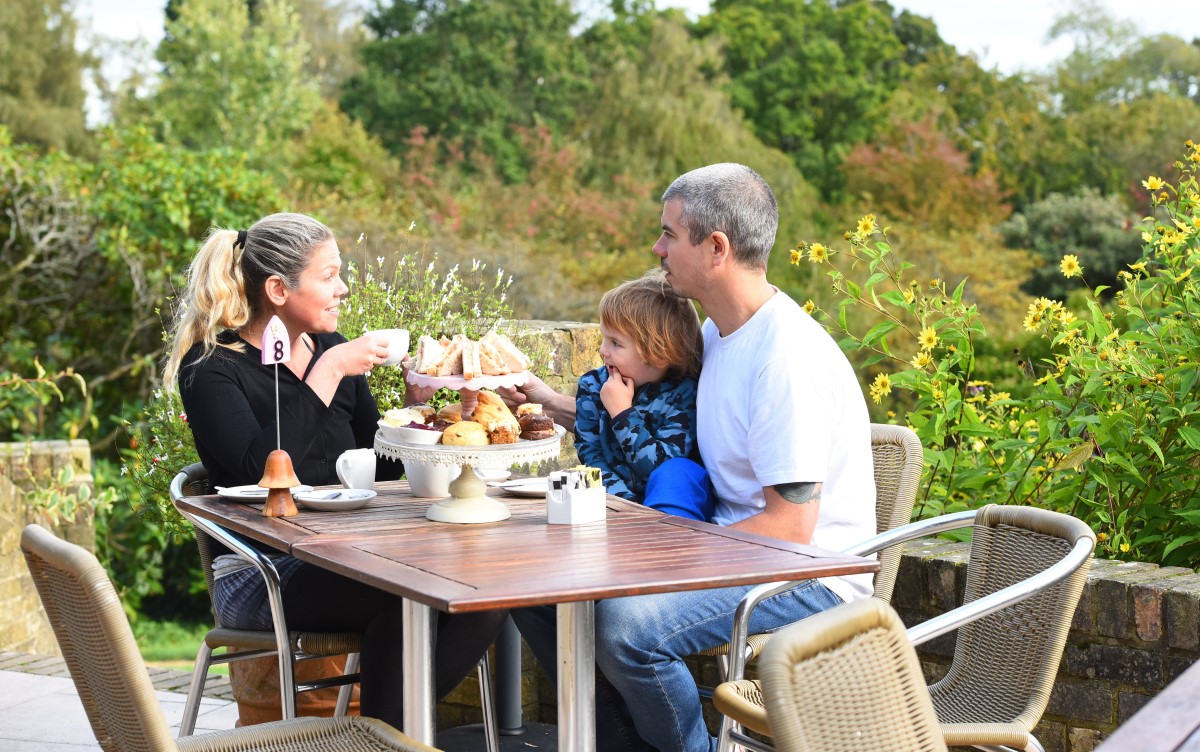 Afternoon tea on the terrace at Furzey Gardens