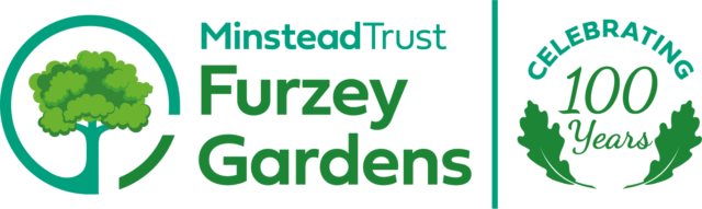 Primary Logo
