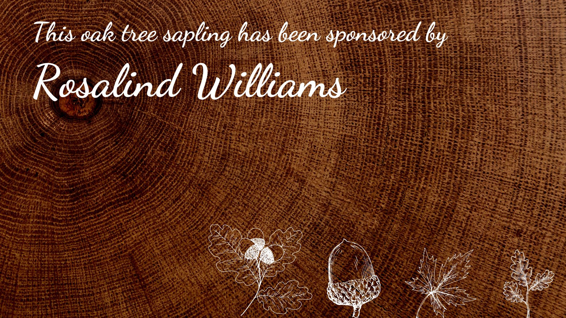 Rosalind Williams Remembering Philip Minstead Trust