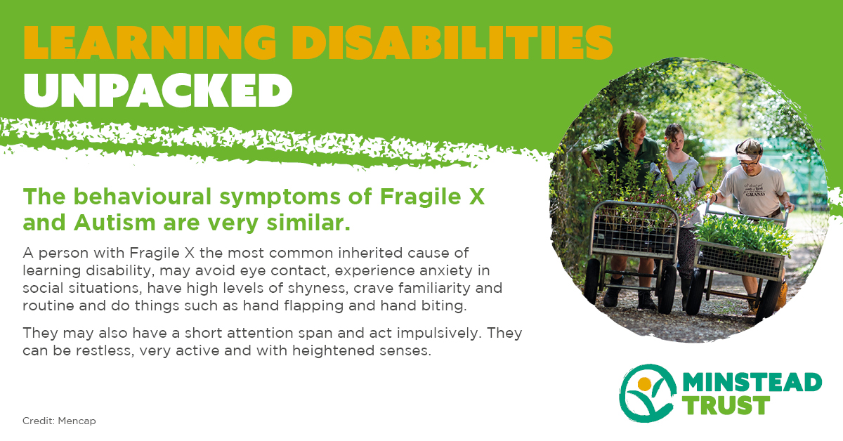 Learning Disabilities Unpacked | Breaking Barriers | Minstead Trust