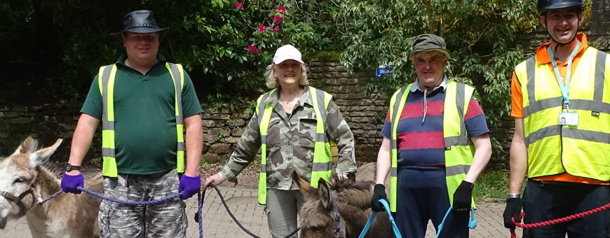 Minstead Animals Animal therapy centre to open after target reached - Minstead Trust