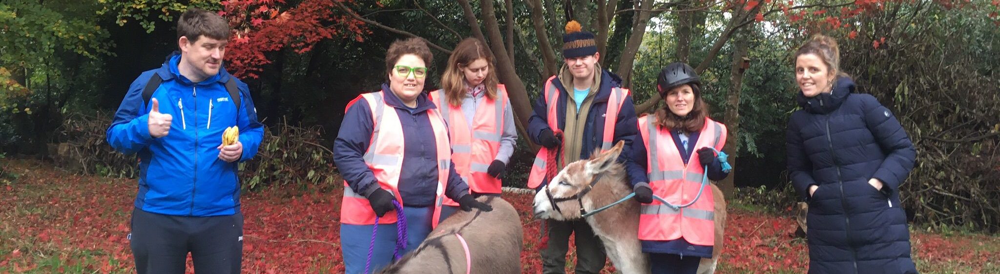 Minstead Animals Animal Sponsorship Information | Minstead Trust