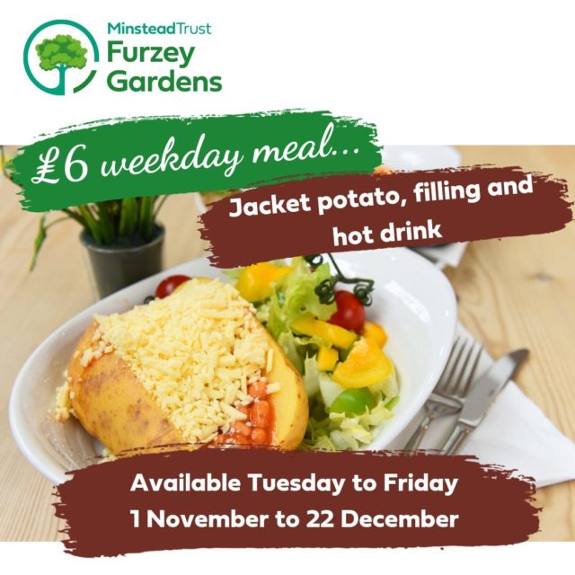 Pop by Furzey Gardens and take advantage of our weekday meal deal. Jacket potato, one filling and a hot drink, all for £6.

Just perfect to refill after a wander round the autumn gardens!

Don't forget we have now moved to our winter opening hours - Tuesday to Sunday, 11am to 3.30pm. Closed on Mondays. 

buff.ly/3LSr2V0