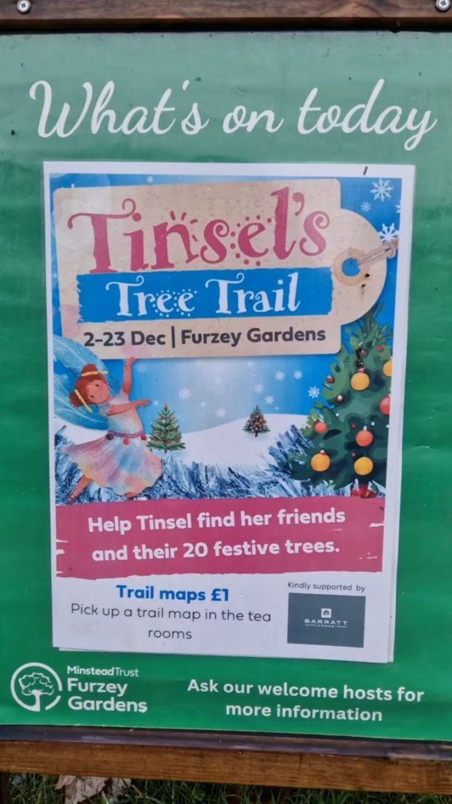 Our Christmas trail has arrived! Help Tinsel find her friends and their 20 festive trees around the gardens.

Trail runs daily until 23 December, 11am - 3.30pm, except Mondays. Normal garden entrance donation applies, pick up your trail map for £1 from the tea rooms.

This trail is kindly supported by Barratt Homes.

#christmas #christmastrail #christmastrees #hampshiretopattractions #thenewforest #family fun #daywiththekids